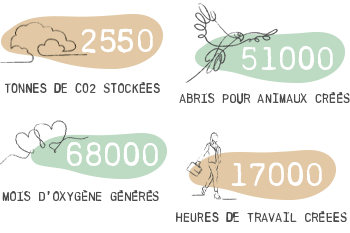 Bilan carbone